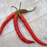 Chili oder Pepperoni