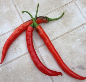 Chili oder Pepperoni